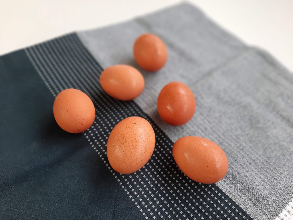 Adubo de Cascas de Ovo