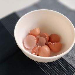 Aproveitamento de Cascas de Ovo