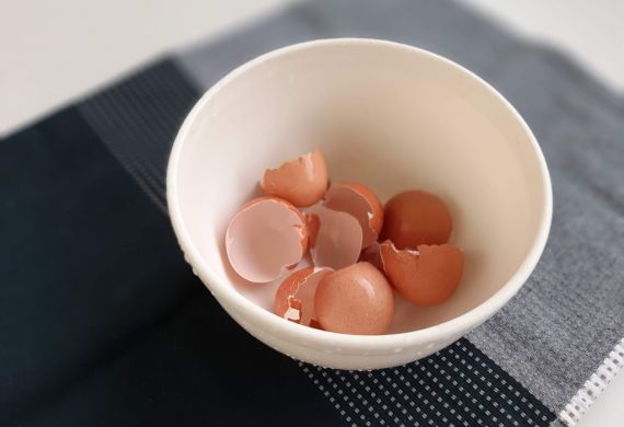 Aproveitamento de Cascas de Ovo