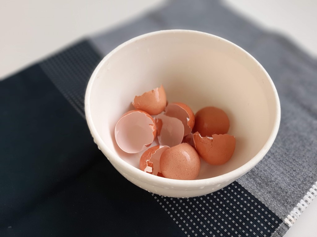 Aproveitamento de Cascas de Ovo