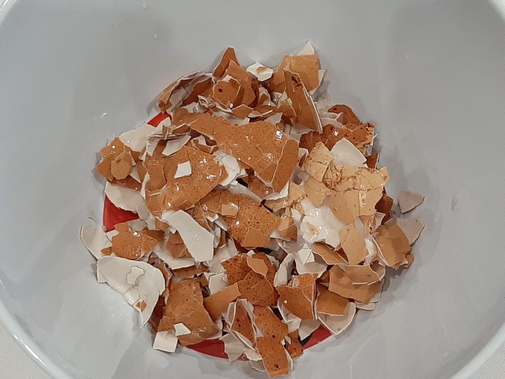 Aproveitar cascas de ovo
