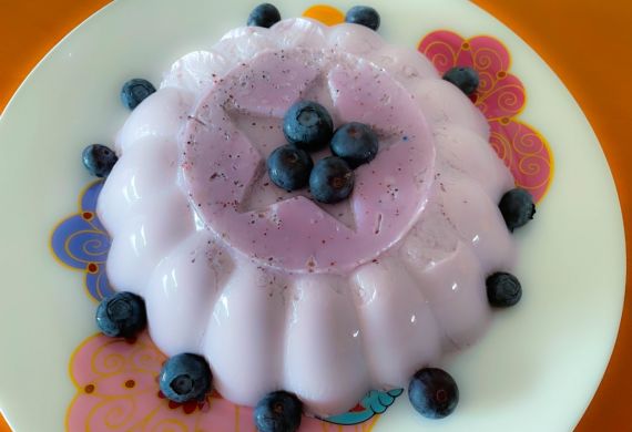 Panacota de Mirtilos